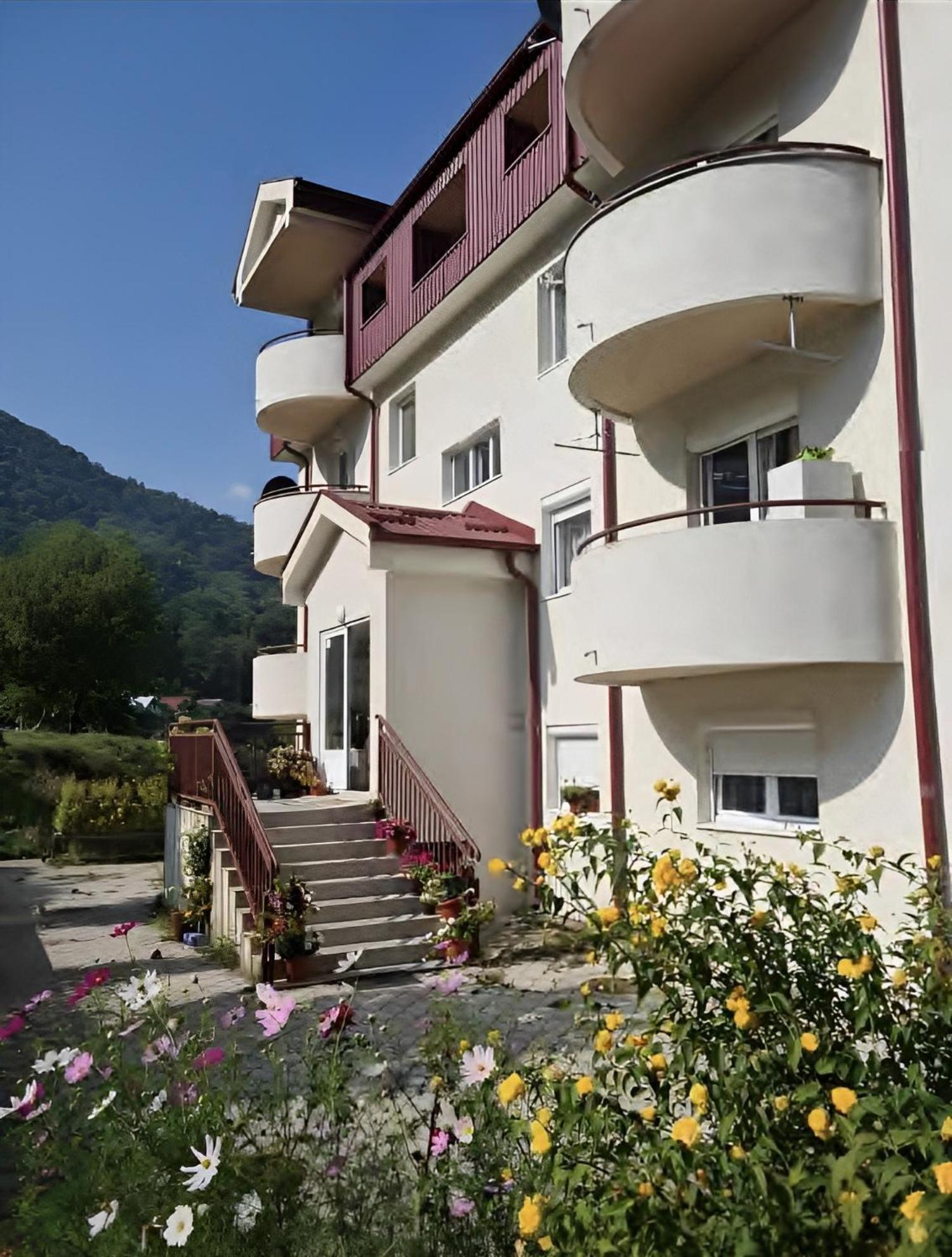 Zora Apartment Plužine Dış mekan fotoğraf