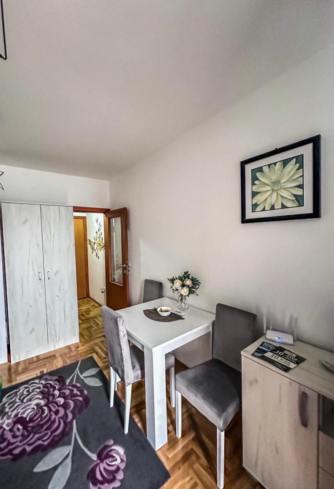 Zora Apartment Plužine Dış mekan fotoğraf